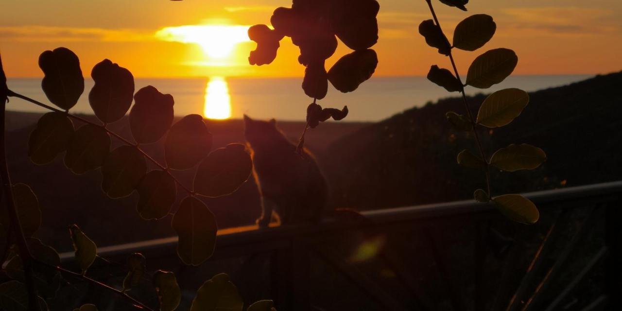 Nel verde del Villaggio - Casetta Celeste Gonnesa Buitenkant foto